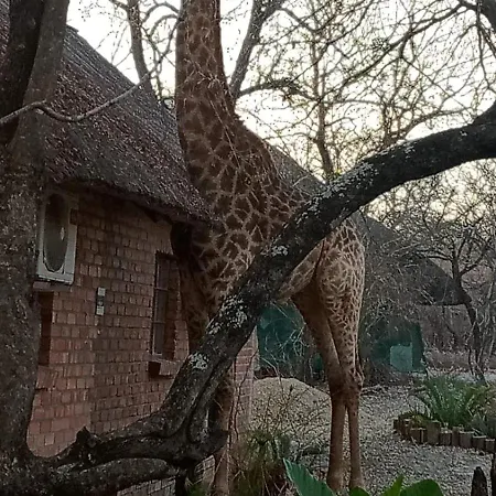 Villa Bush And Gables Marloth Park Exterior foto