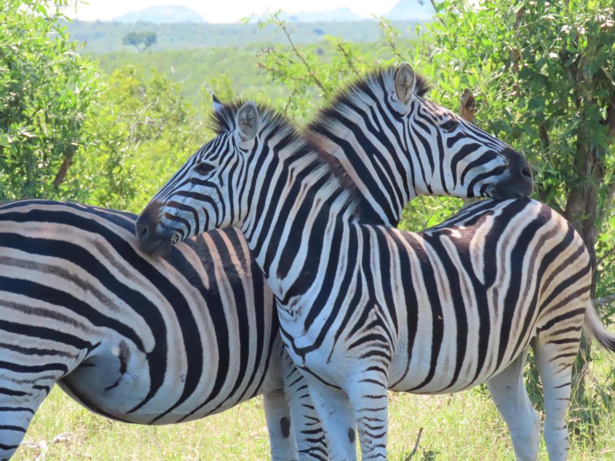Bush And Gables Alojamento de Turismo Selvagem Marloth Park