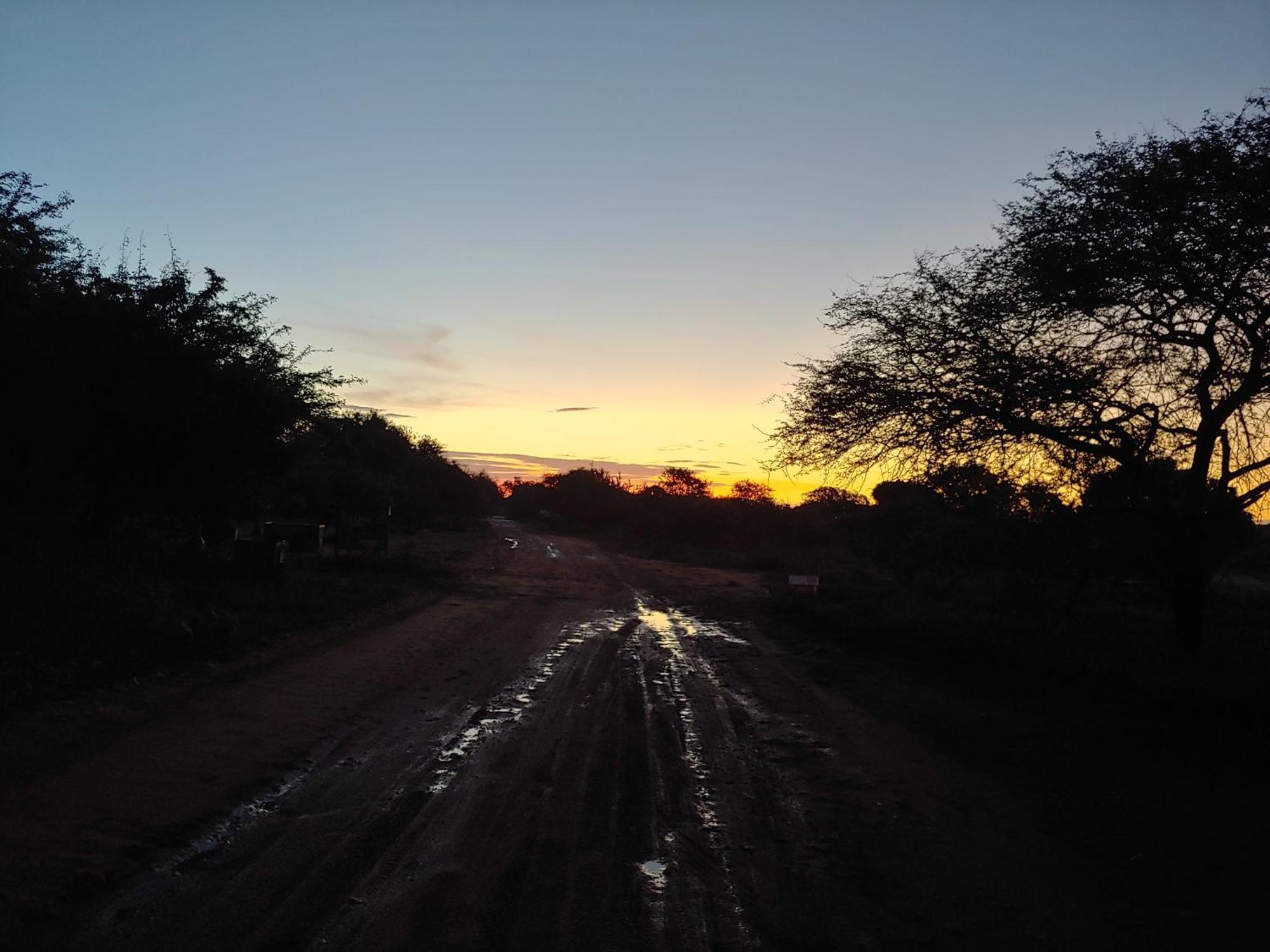 Bush And Gables Marloth Park